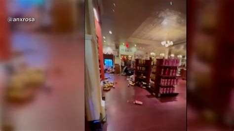 VIDEO: Gun scare sparks stampede at Disney’s Magic Kingdom.